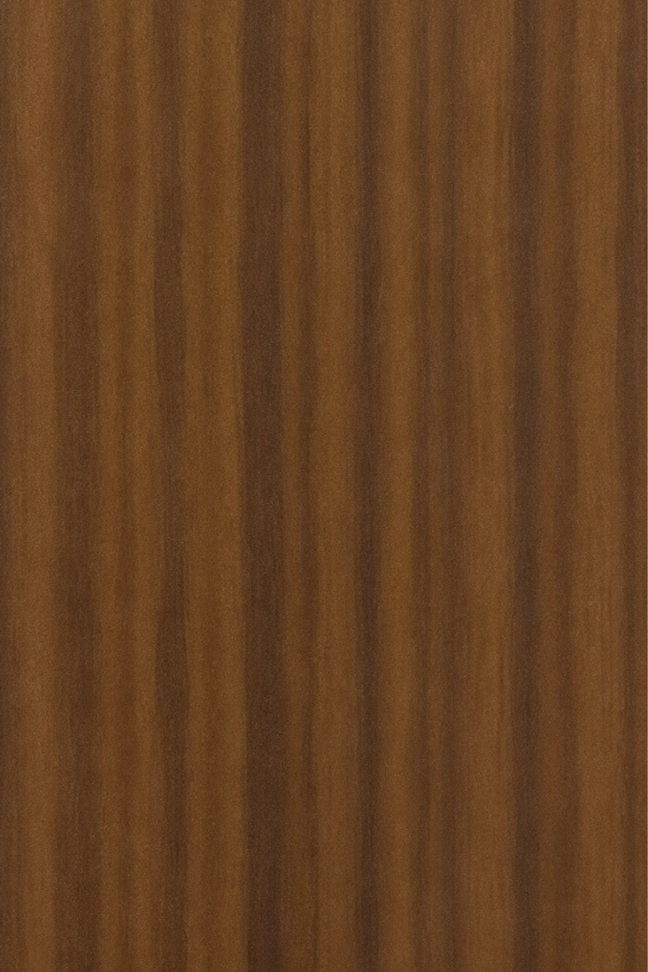 American walnut