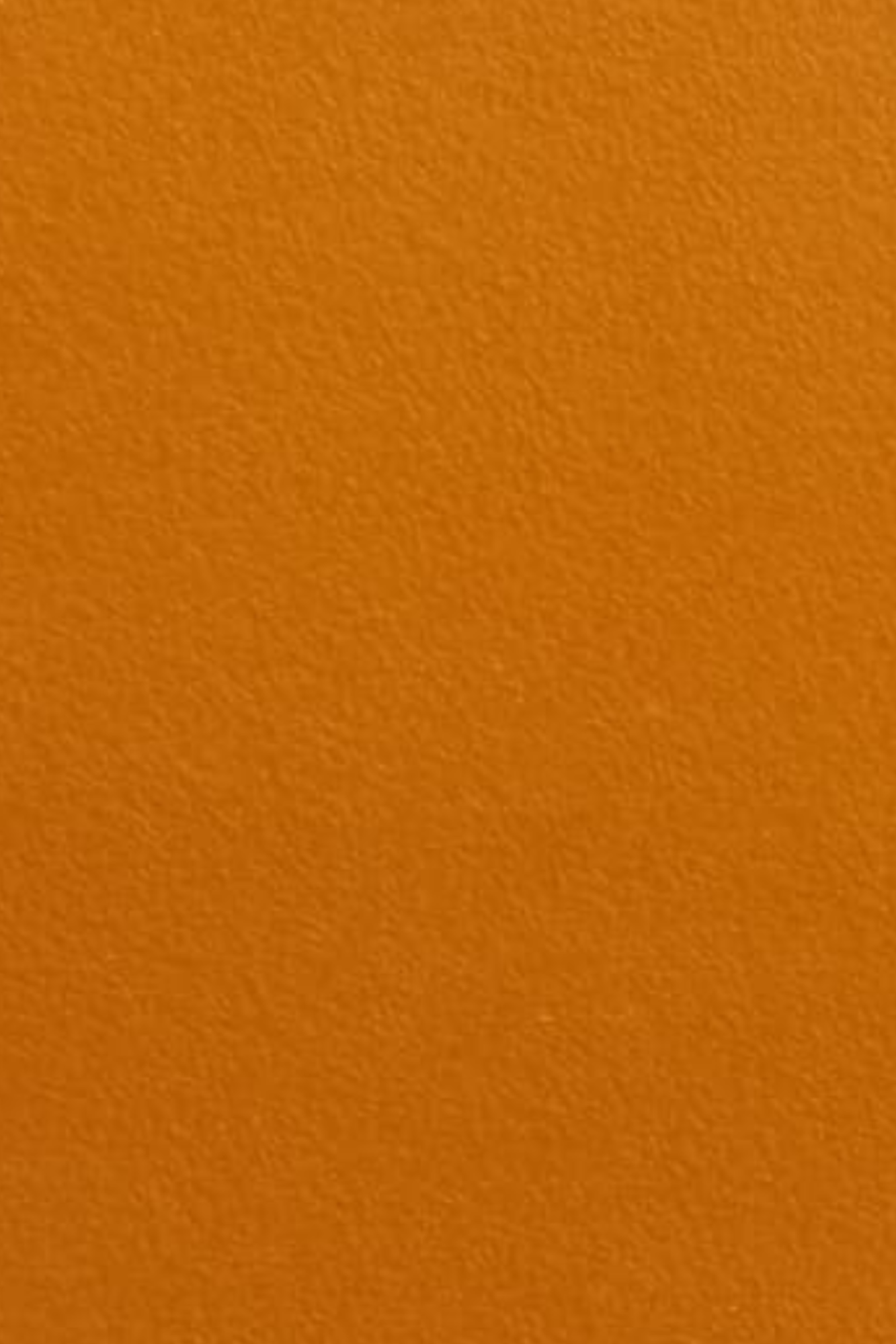 Orange wen new