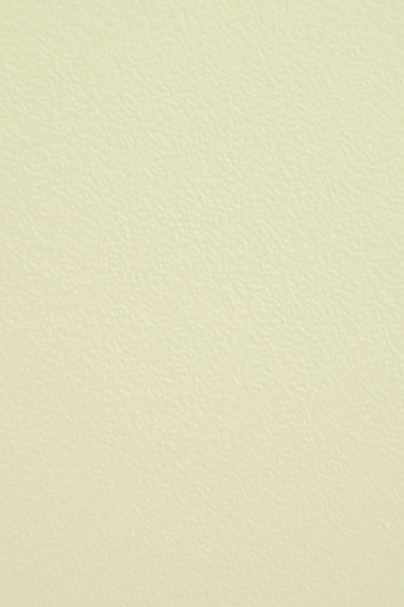 ivory web new 1