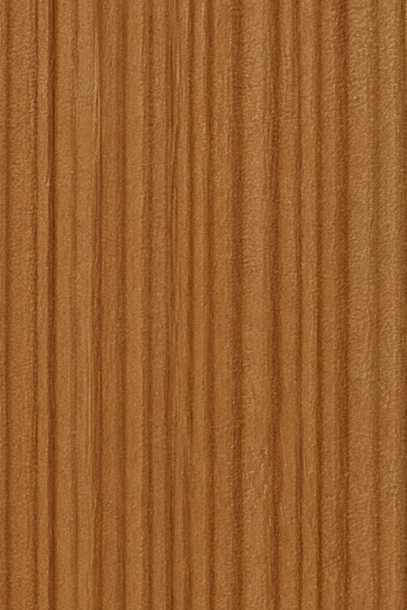 regel wood web