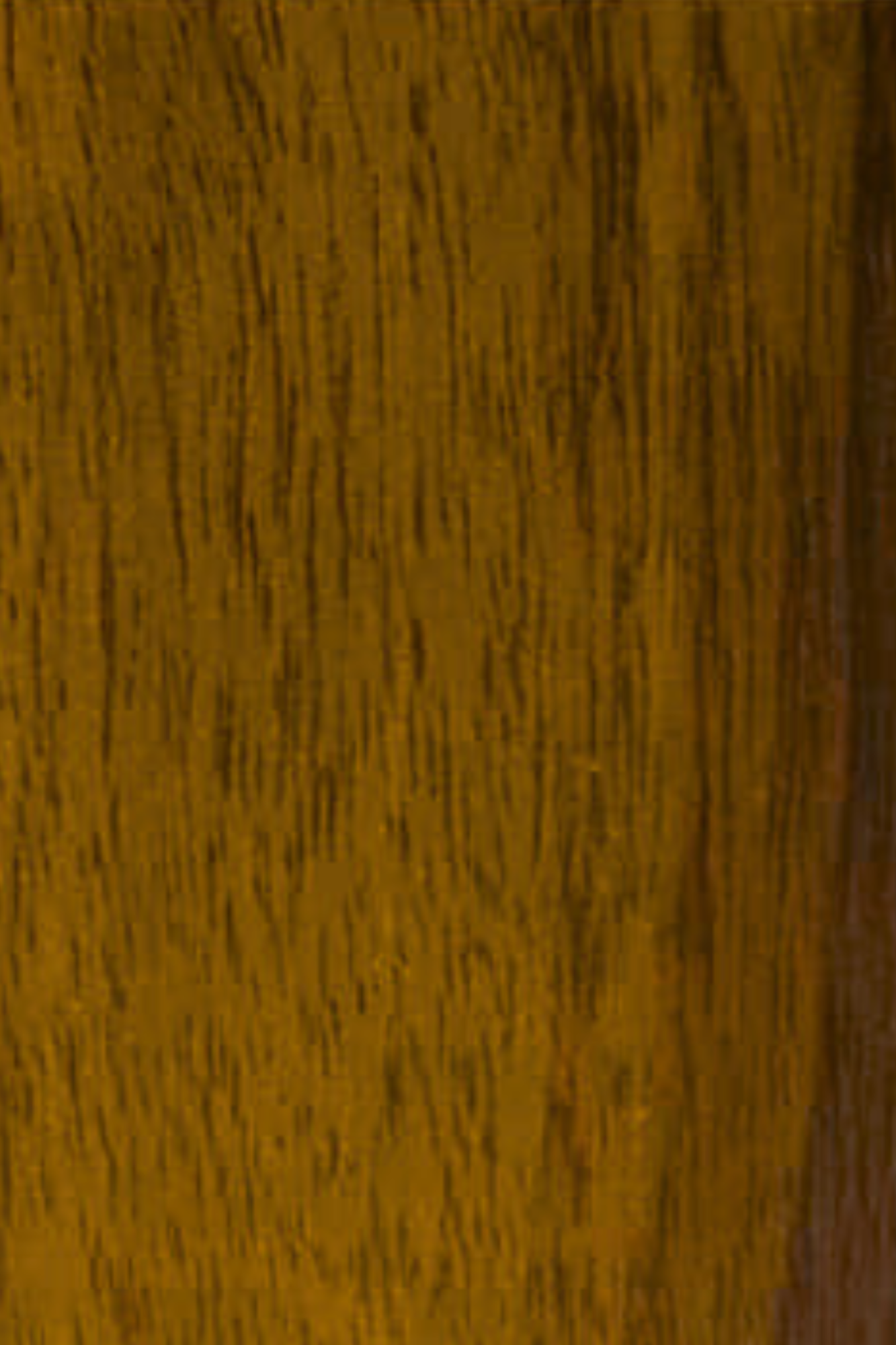 wood plank web